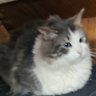 stormy063