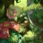 Meganium39
